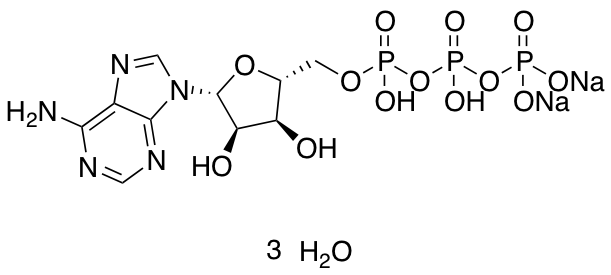 Adenosine-5'-triphosphate Disodium Salt Trihydrate