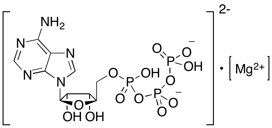 Adenosine 5'-triphosphate Magnesium Salt (>90%)