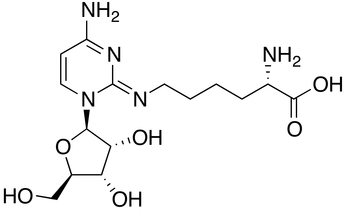 N6-(4-Amino-1-β-D-Ribofuranosyl-2(1H)-Pyrimidinylidene)-L-Lysine