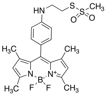 8-[4-(Aminoethyl Methanethiosulfonyl)phenyl] Bodipy