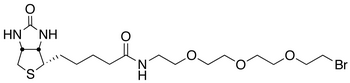 1-Biotinylamino-3,6,9-trioxaundecane-11-bromide