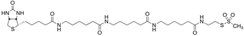 N-Biotinylcaproylaminocaproylaminocaproylaminoethyl Methanethiosulfonate