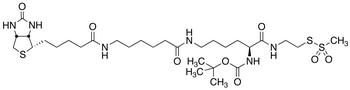 N2-t-Boc-N6-(biotinamido-6-N-caproylamido)lysinylamidoethane Methanethiosulfonate