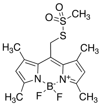 Bodipy Methanethiosulfonate