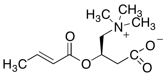 (E)-Butenoyl Carnitine