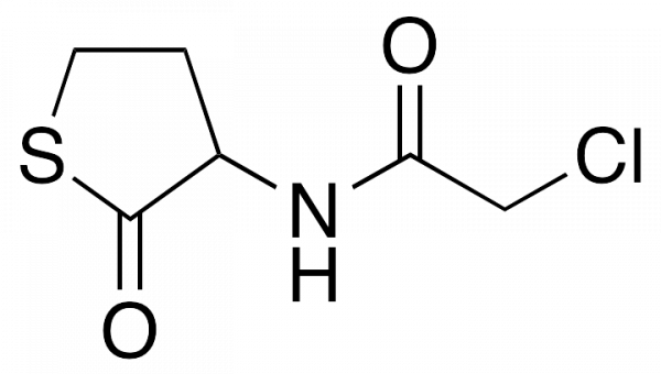 N-Chloroacetyl DL-Homocysteine Thiolactone