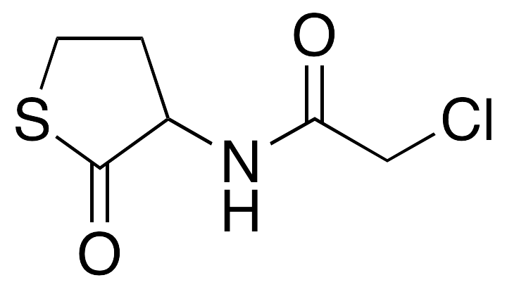 N-Chloroacetyl DL-Homocysteine Thiolactone