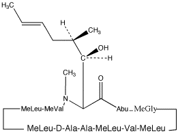 Cyclosporin D