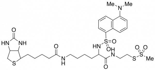 (N-Dansyl)biocytinamidoethyl Methanethiosulfonate